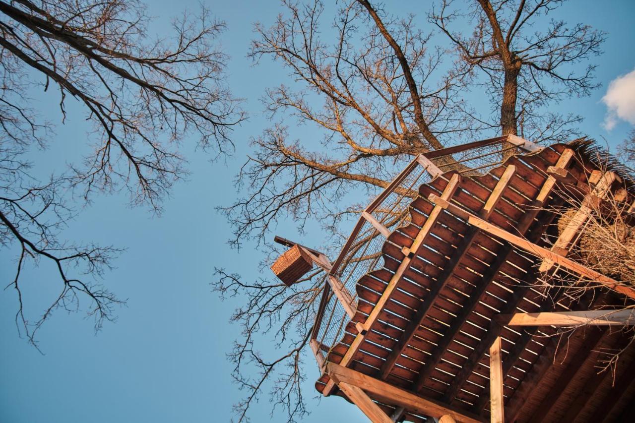 Treehouse Kremilek Villa Jesenice  Dış mekan fotoğraf